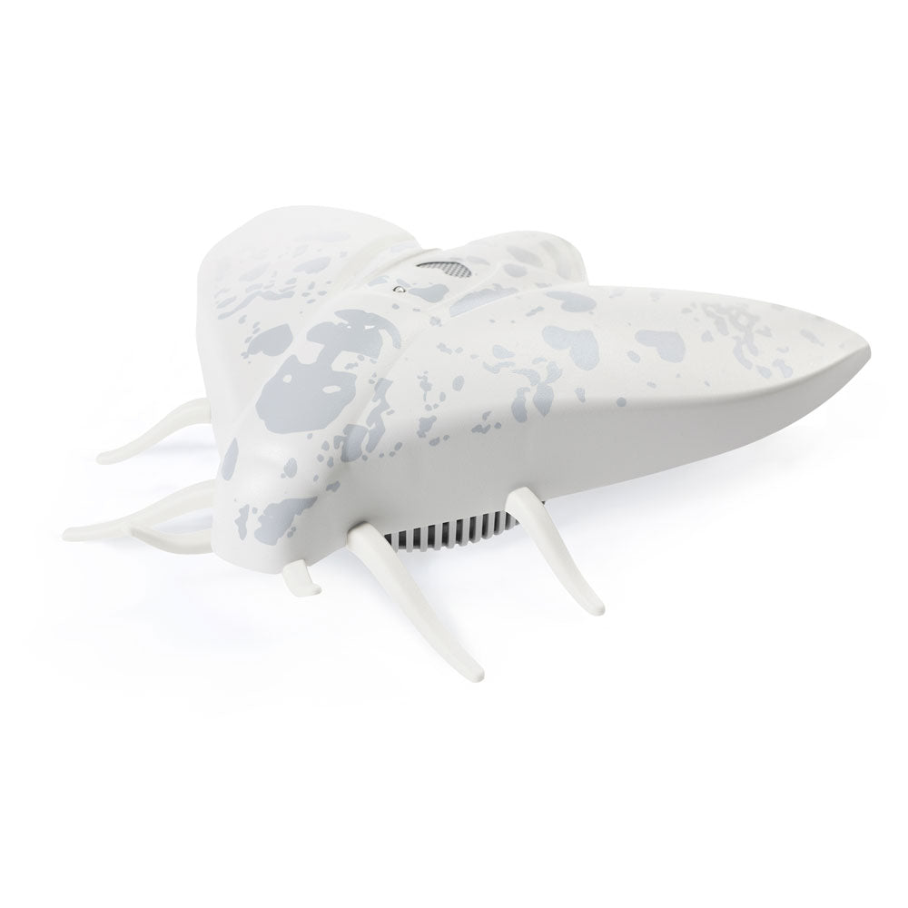 Jalo - Lento 10 white